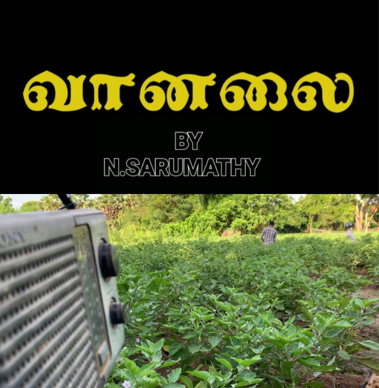 Read more about the article Documentary on Final year Dissertation –  Ms. Sarumathy Nagaratnam